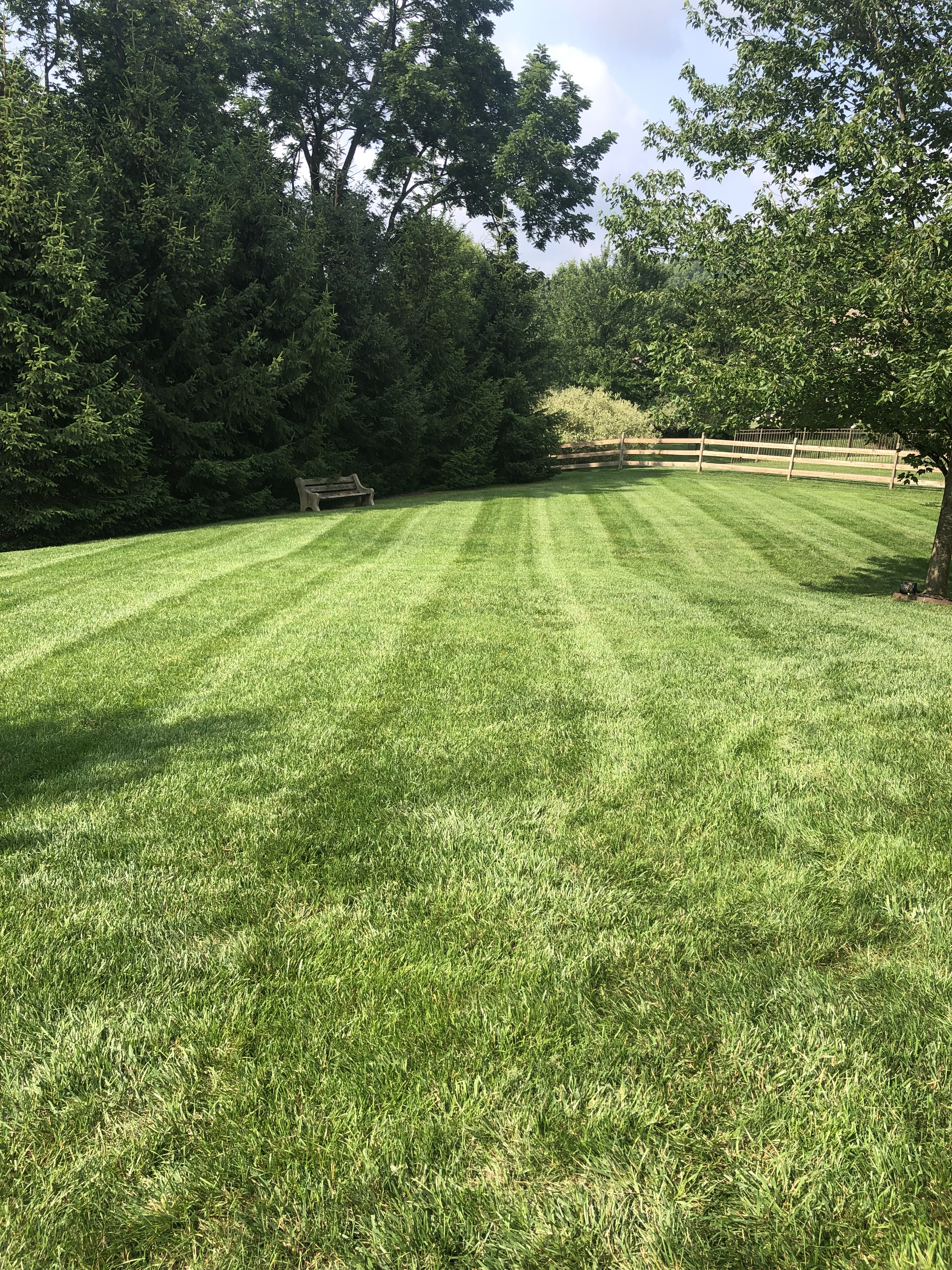 Lawn mowing project