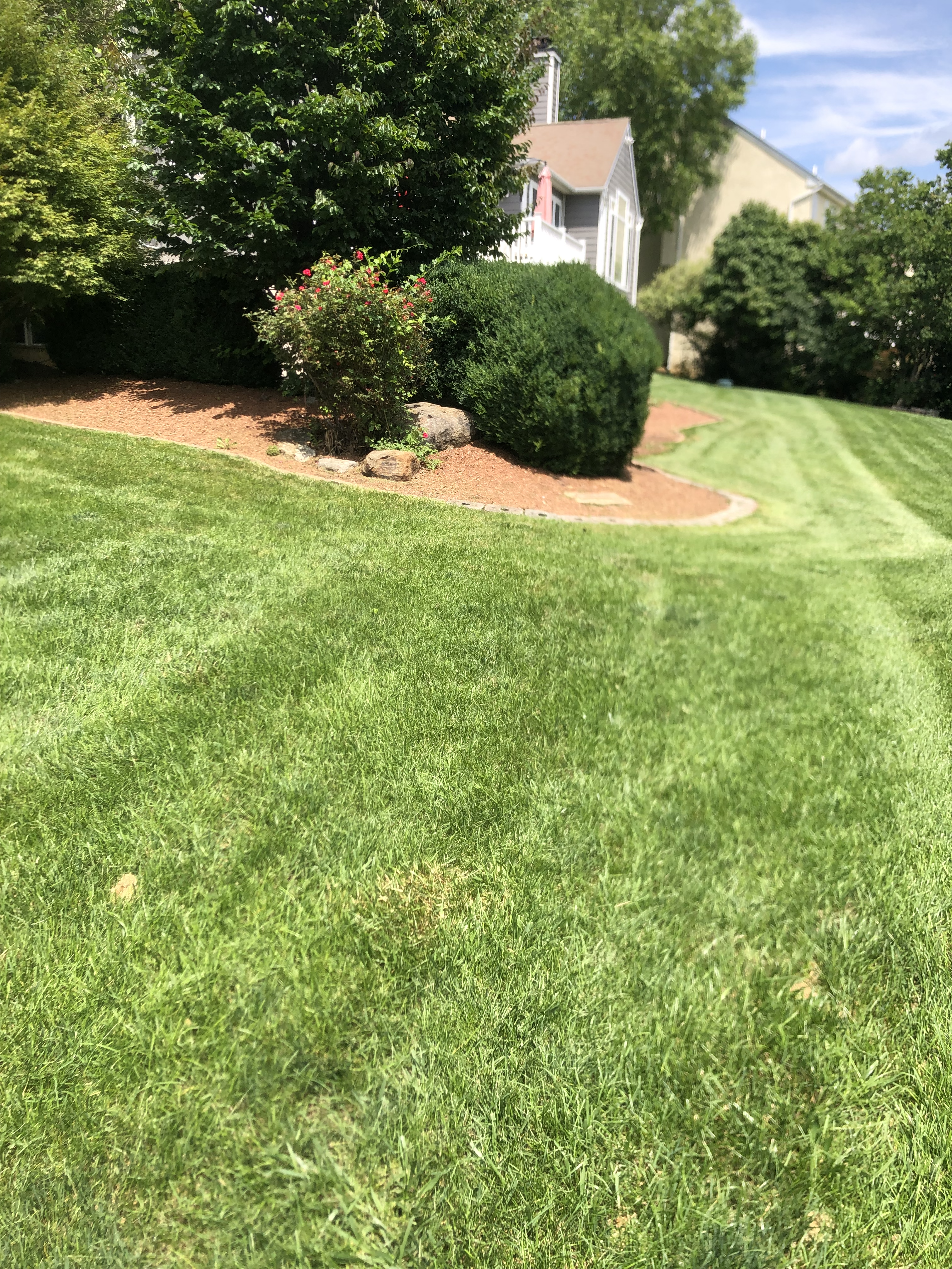 Lawn care project