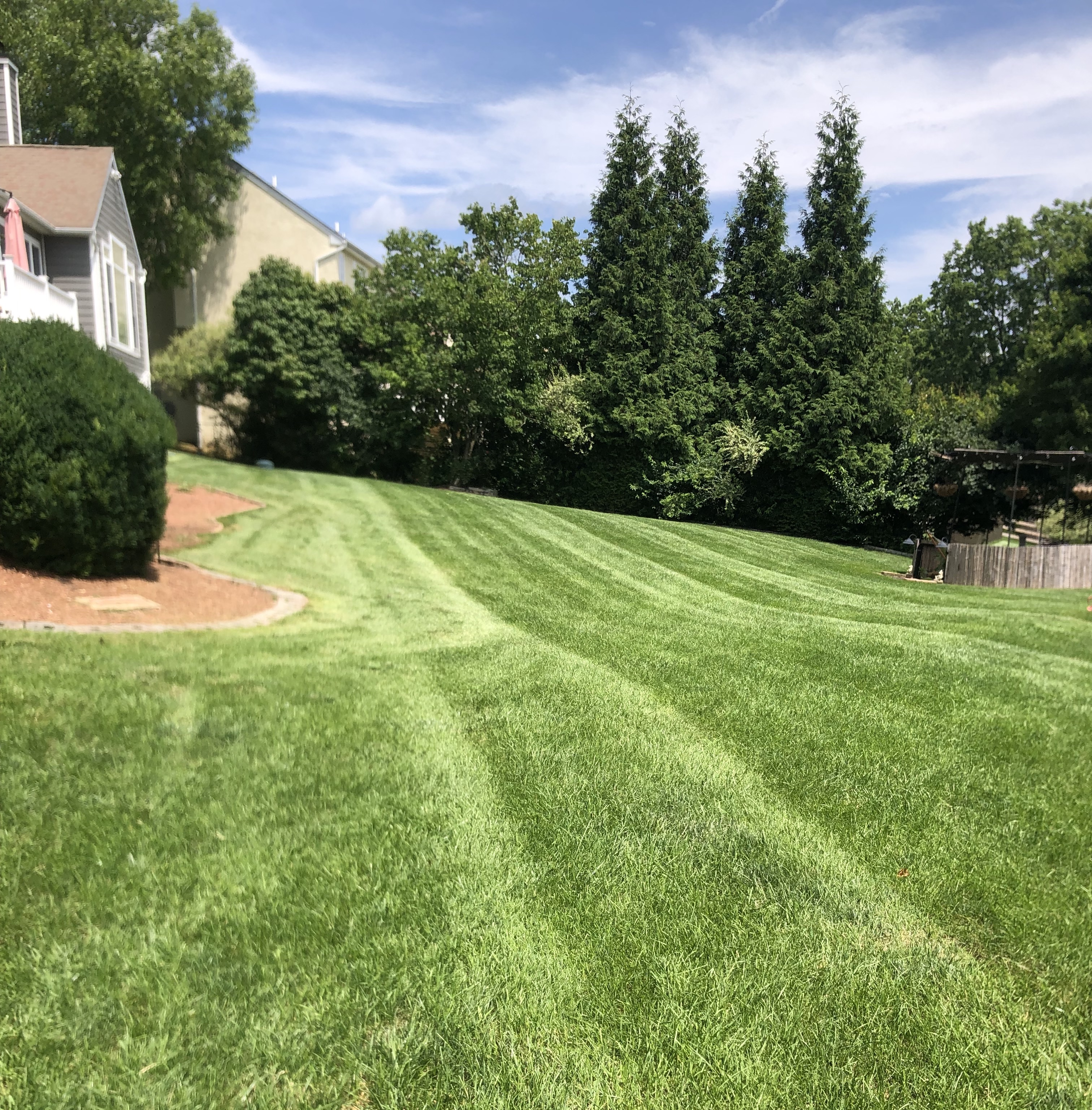 MOWING SERVICES
